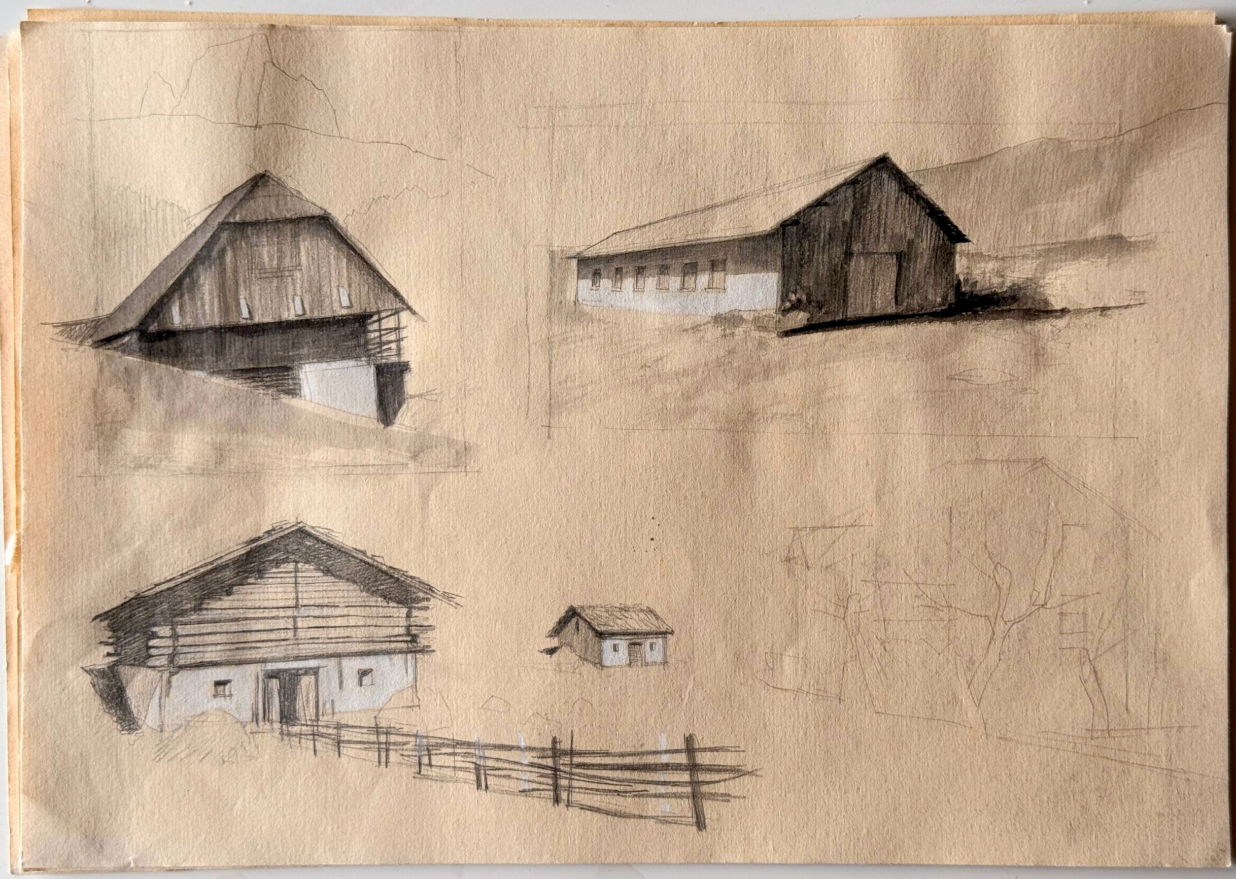 Foglio sparso 02 — studio di malghe, penna, 2025